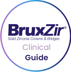 bruxzir guide downloads image