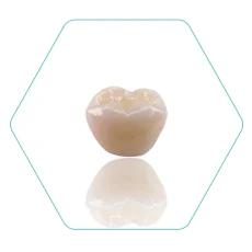 bruxzir