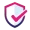 costech_wp_shield_icon_180625