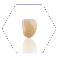 lisi