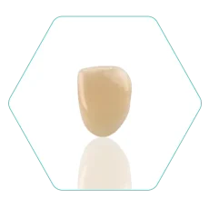 uni-zirc